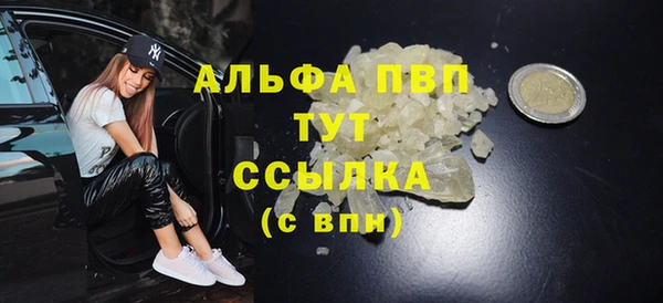 СК Алексин