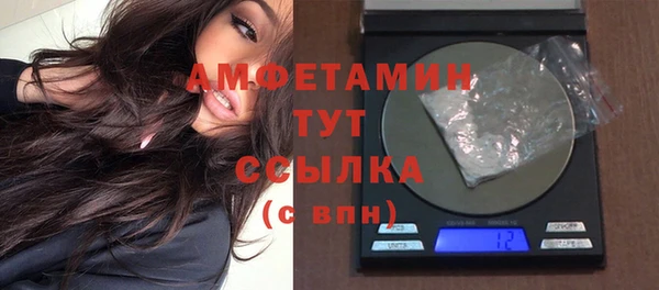 СК Алексин