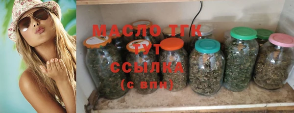 СК Алексин