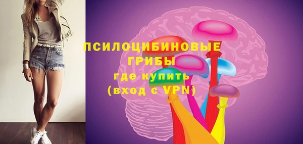 СК Алексин