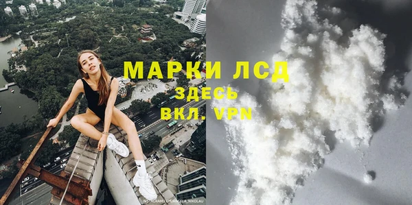 СК Алексин