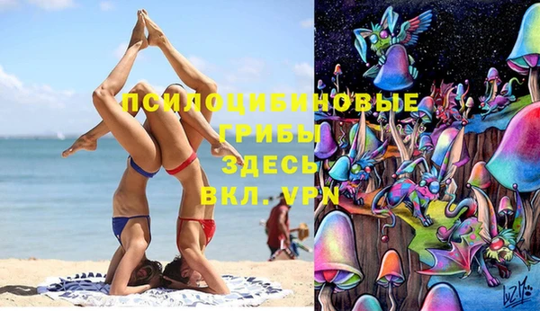 СК Алексин